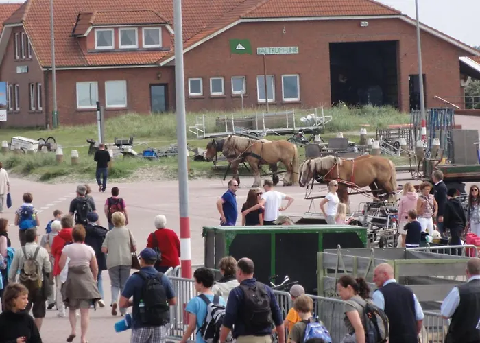 Shalom, Hus Blinkfuer 202 * Бальтрум